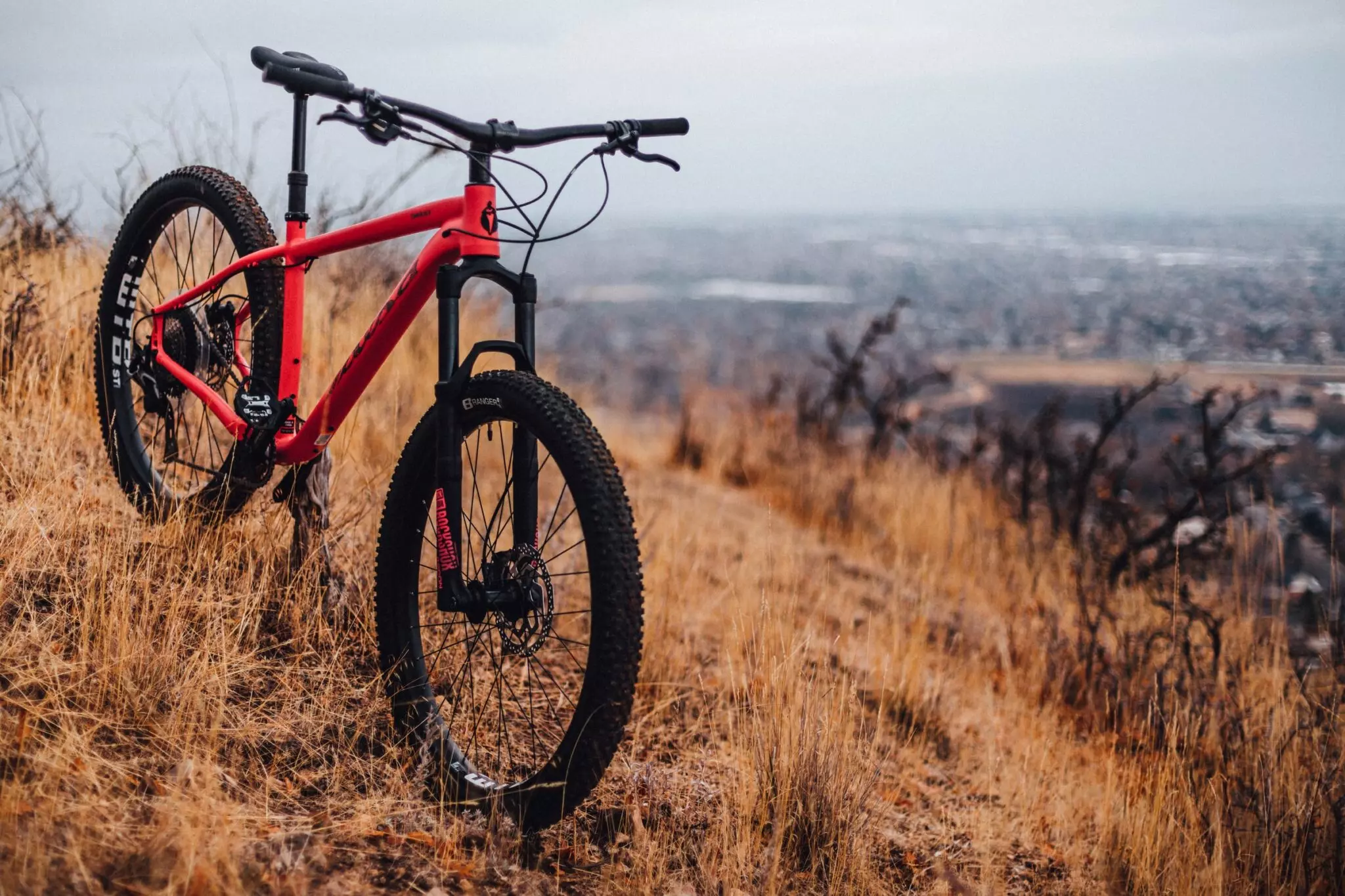 Mountain Bike Vs. Road Bike and the Benefits of Cycling in 2021 LISS