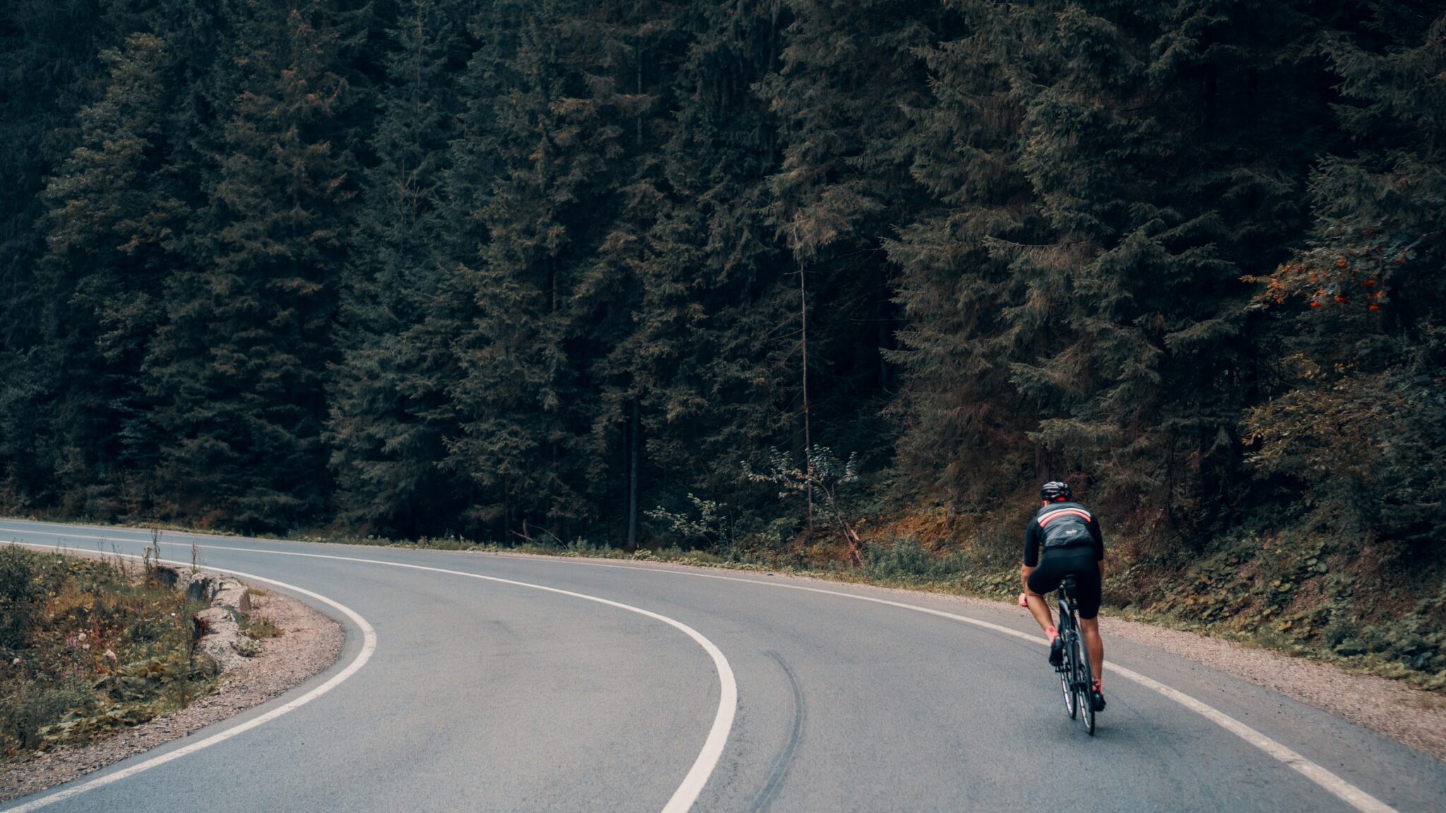 Mountain Bike Vs. Road Bike and the Benefits of Cycling in 2021 LISS Cardio LowIntensity