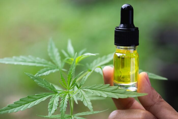 CBD Oil Tincture vs Edibles and Strains — How Most CBD Products Work