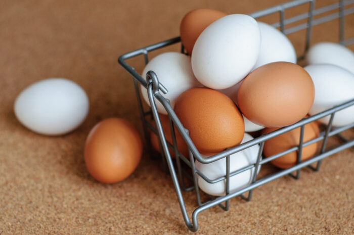 Is Egg Protein the Same as Milk Protein?